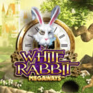 ホワイトラビット